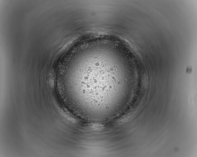 X0000089910719200707201756