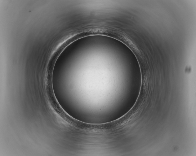 X0000089910722200707201755