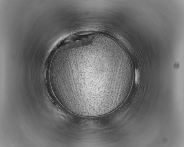 X0000089910723200707201755
