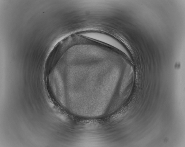 X0000089910724200707201755