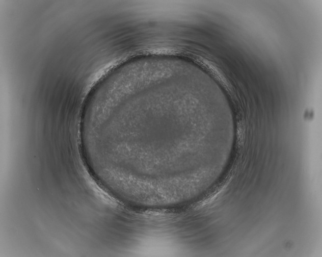 X0000089910725200707201755