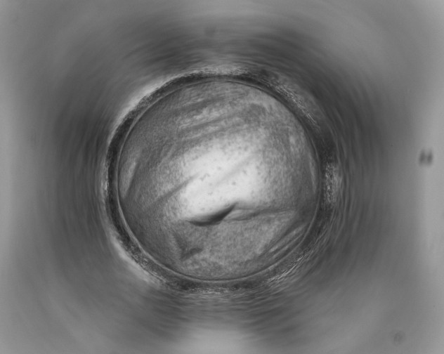 X0000089910726200707201755