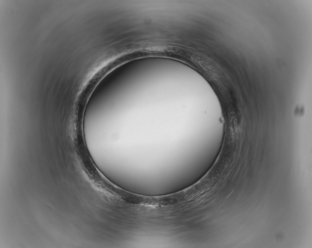 X0000089910728200707201755