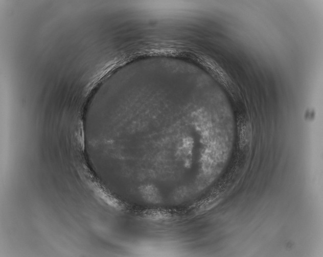X0000089910729200707201755