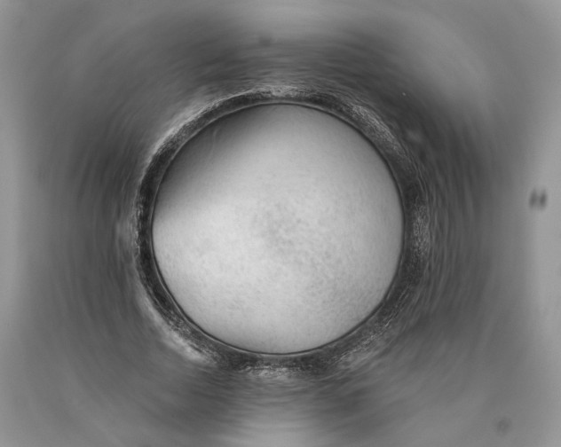 X0000089910730200707201755