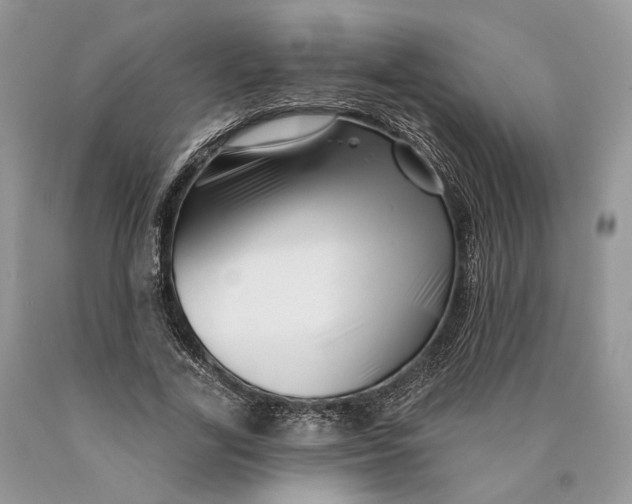 X0000089910731200707201755