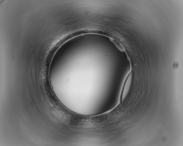 X0000089910732200707201755