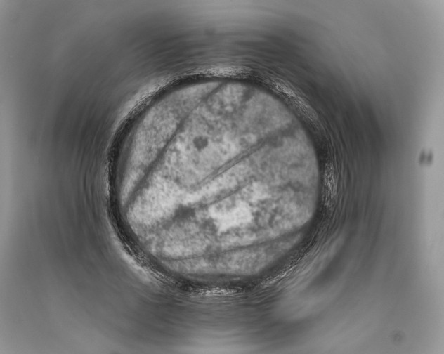 X0000089910734200707201755