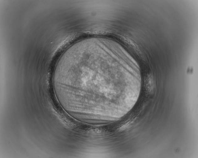 X0000089910735200707201755