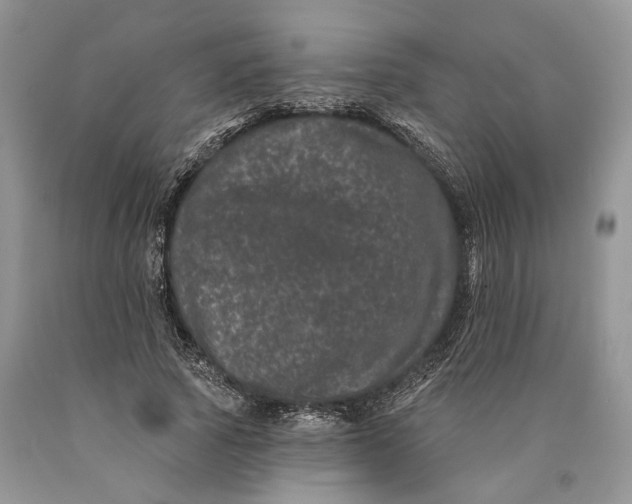 X0000089910737200707201755