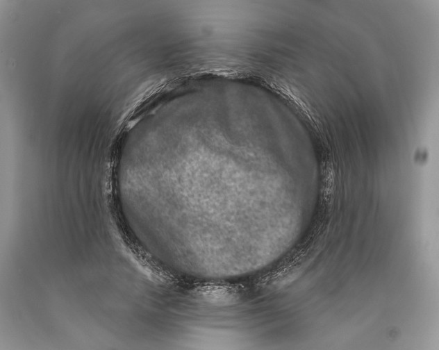 X0000089910738200707201755