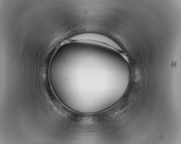 X0000089910740200707201756