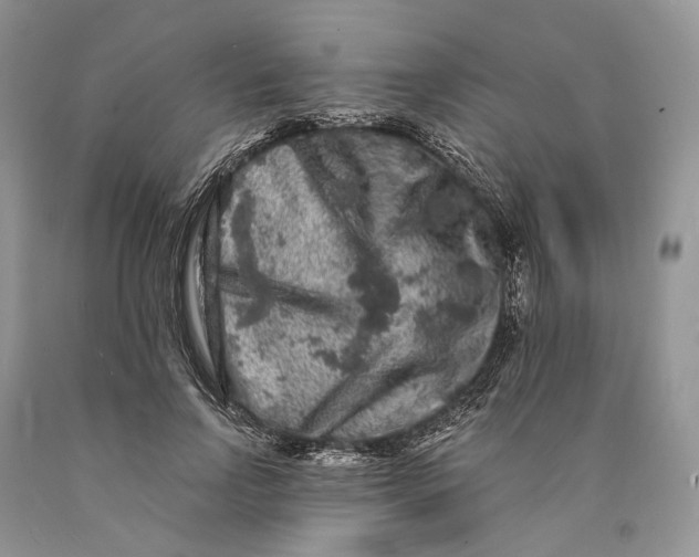 X0000089910742200707201756