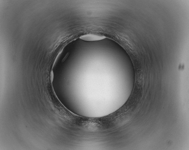 X0000089910743200707201756