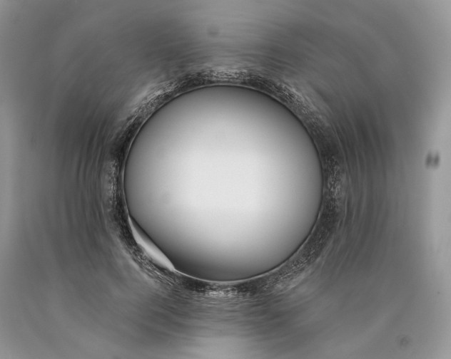 X0000089910744200707201756