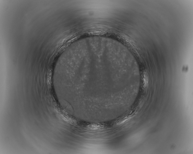 X0000089910745200707201756