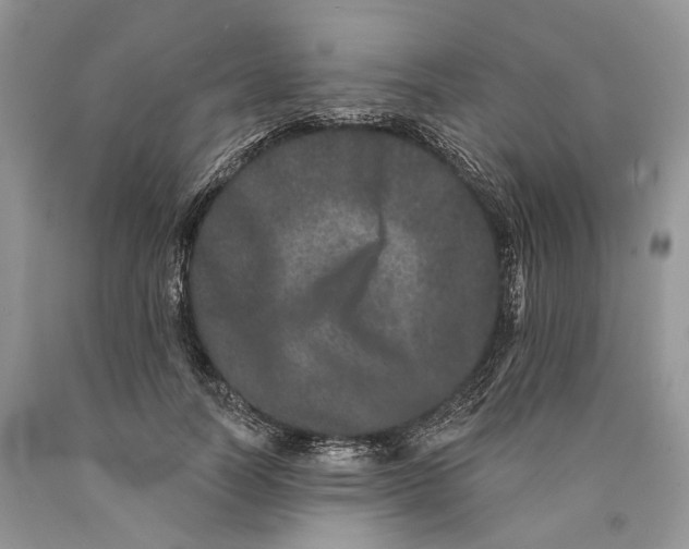 X0000089910746200707201756