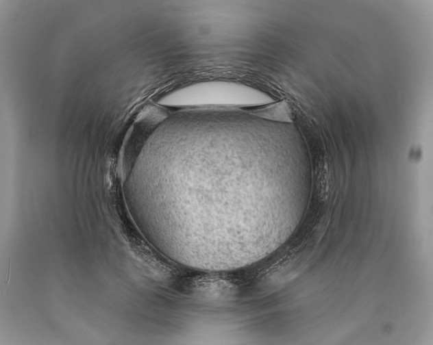 X0000089910747200707201756