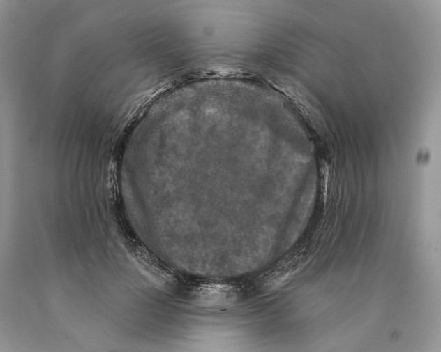 X0000089910748200707201756