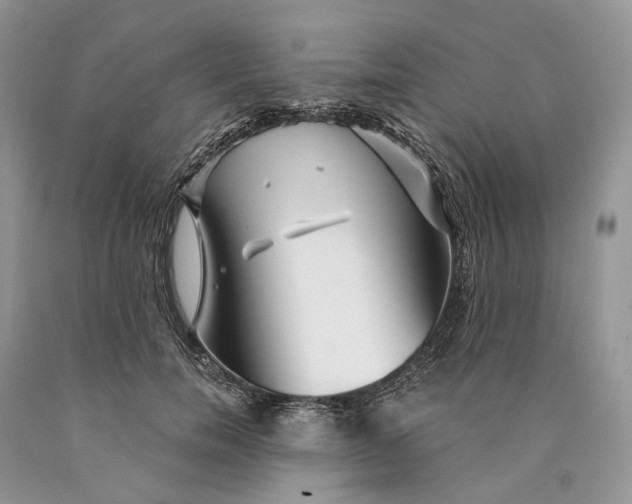 X0000089910750200707201756