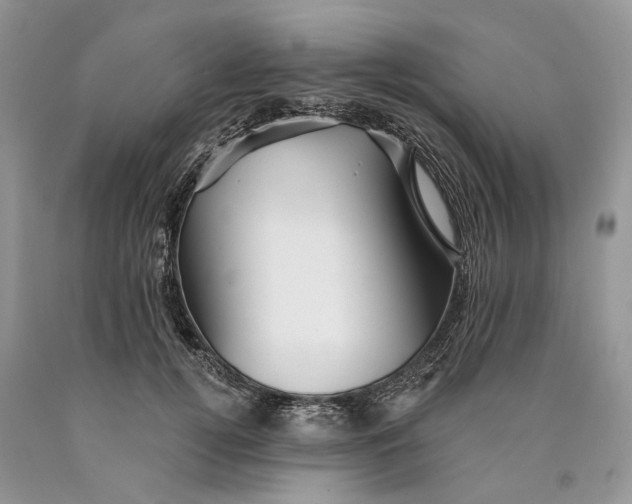 X0000089910752200707201756