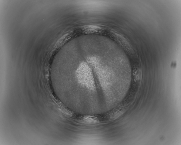 X0000089910753200707201756