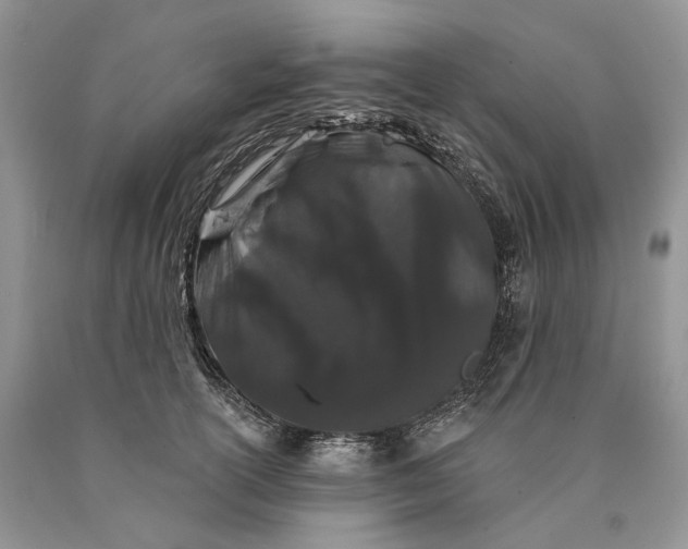 X0000089910754200707201756