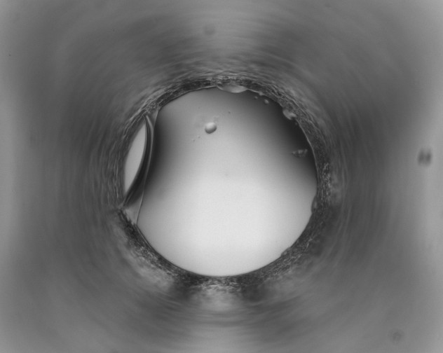 X0000089910756200707201756