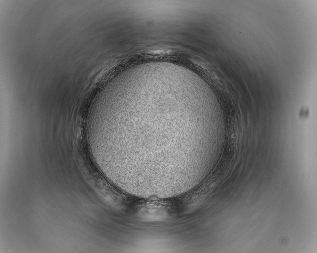 X0000089910758200707201756