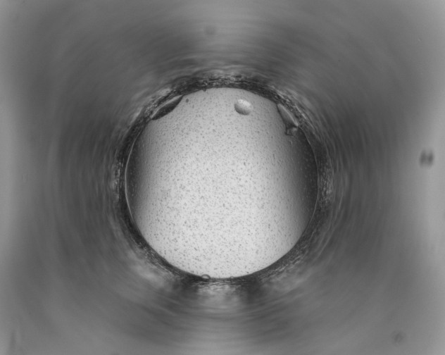 X0000089910759200707201756