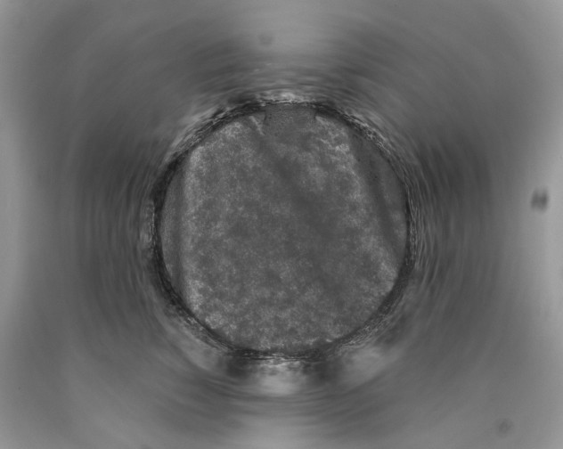 X0000089910760200707201756