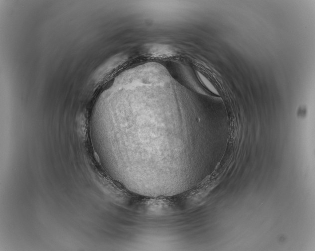 X0000089910762200707201756