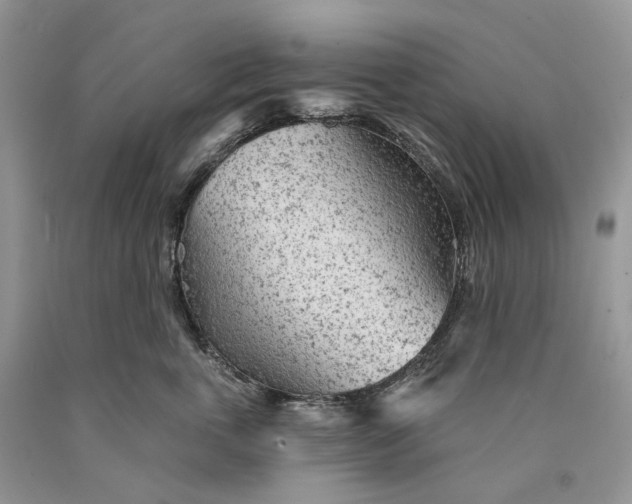 X0000089910763200707201756