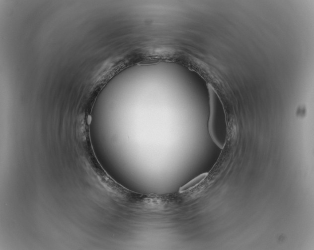 X0000089910764200707201756