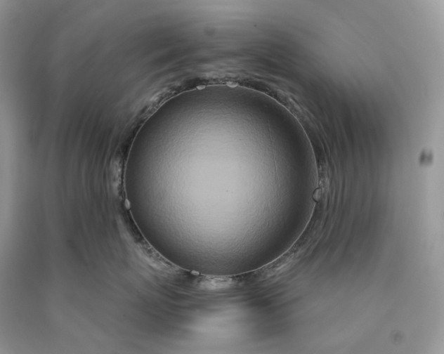 X0000089910767200707201756