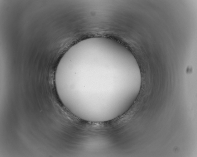 X0000089910768200707201756