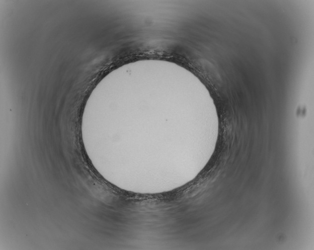 X0000089910769200707201755