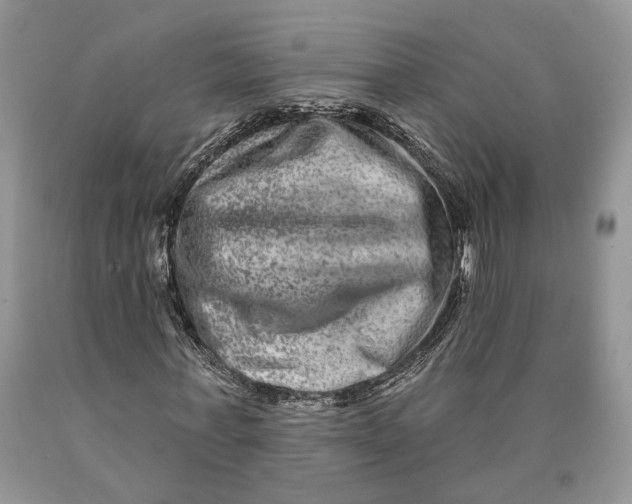 X0000089910771200707201755