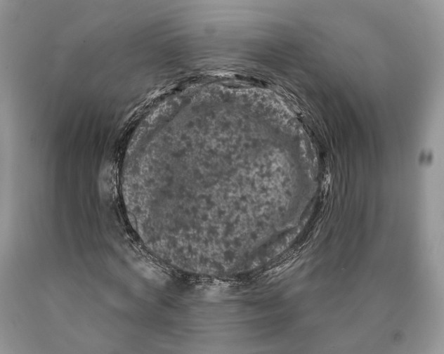 X0000089910772200707201755