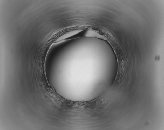 X0000089910773200707201755