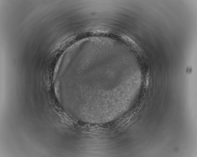X0000089910774200707201755