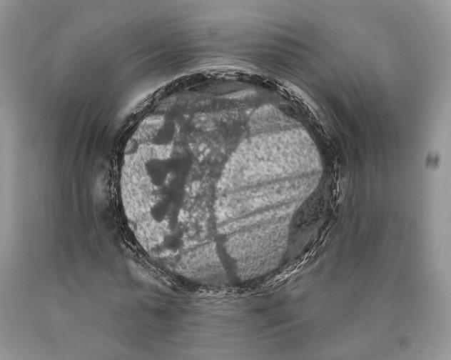 X0000089910775200707201755