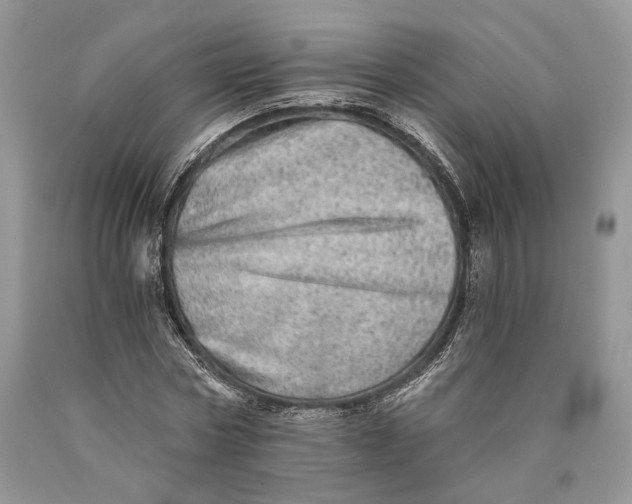 X0000089910778200707201755