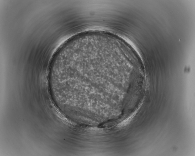 X0000089910783200707201755