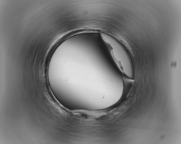 X0000089910784200707201755