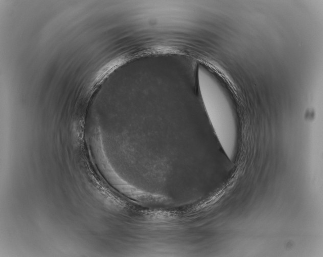 X0000089910785200707201755