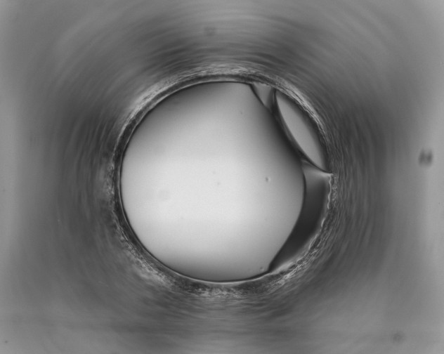 X0000089910786200707201755