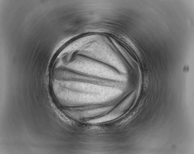 X0000089910787200707201755
