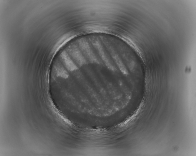 X0000089910790200707201755