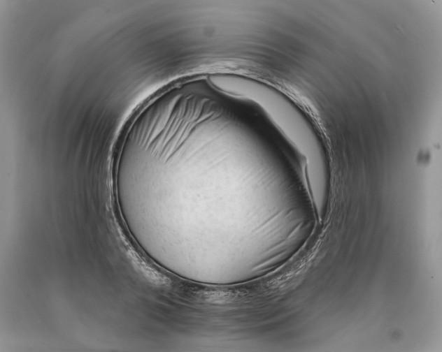 X0000089910792200707201755
